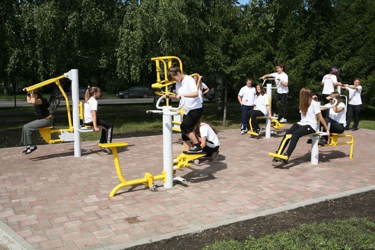 Вуличний тренажер Твістер-Маятник RN-03. Колір на замовлення RN-03 фото