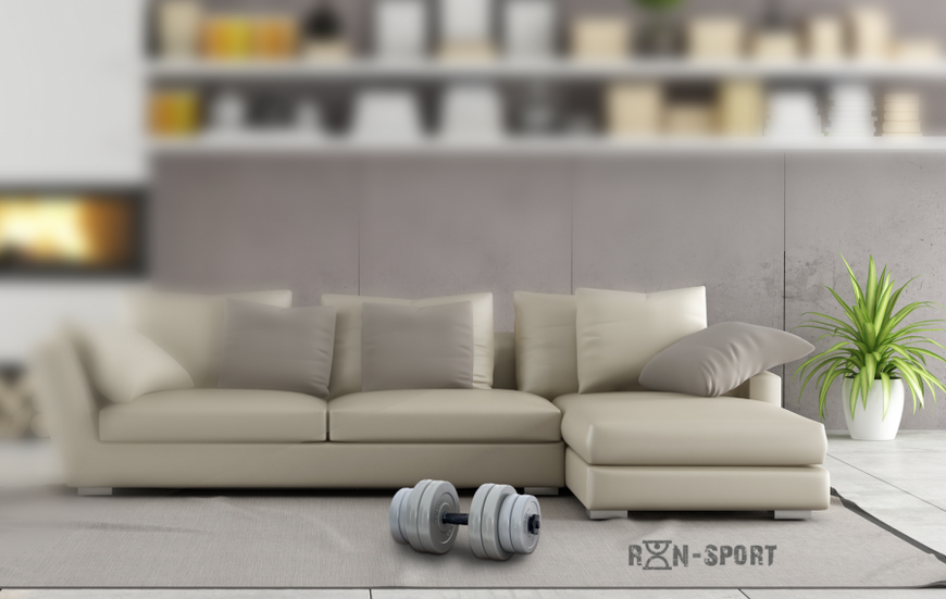 Гантелі набірні по 16 кг RN-Sport Gray 16 kg GRAY фото