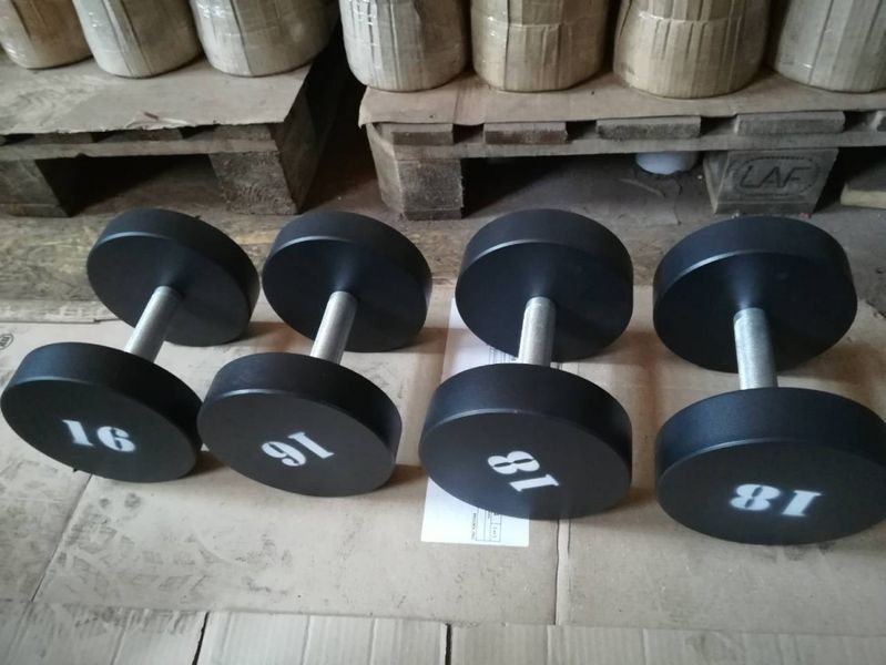 Гантелі професійні RN-Sport від 30 до 50 кг Gant694kg фото